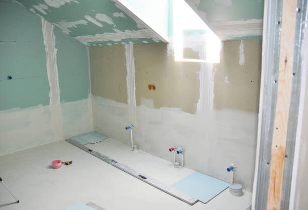 Best Crawl Space Mold Remediation  in Belington, WV