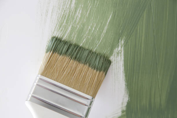 Environmental Consulting for Mold Prevention in Belington, WV