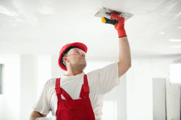 Best Forensic Mold Investigation  in Belington, WV