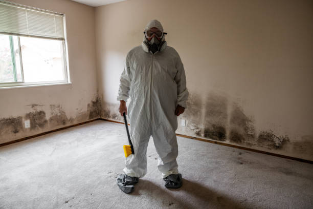 Best Residential Mold Inspection & Testing  in Belington, WV