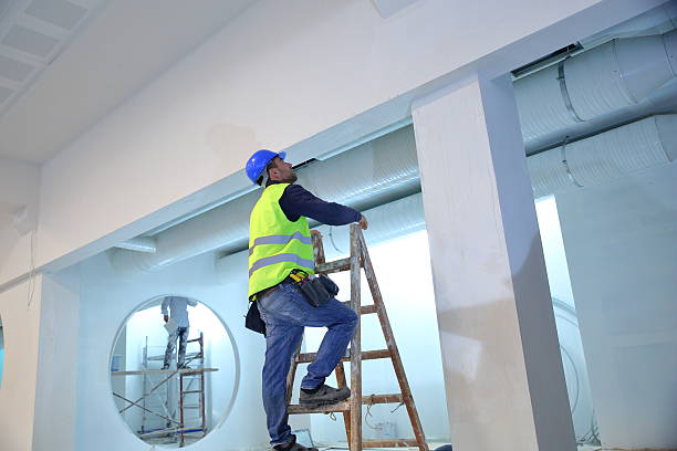 Professional Mold Removal in Belington, WV