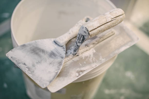 Best Real Estate Mold Inspection  in Belington, WV