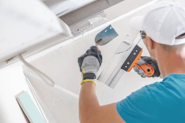Mold Remediation for Rental Properties in Belington, WV